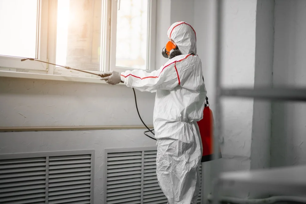Professional mold remediation services in Dover Afb, DE